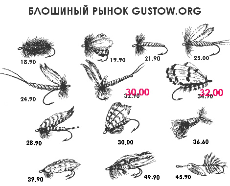   gustow.org
