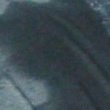  gustow.org -    