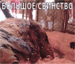 gustow.org -  