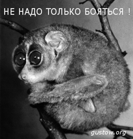    !