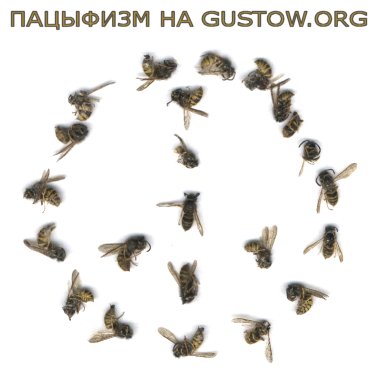   gustow.org